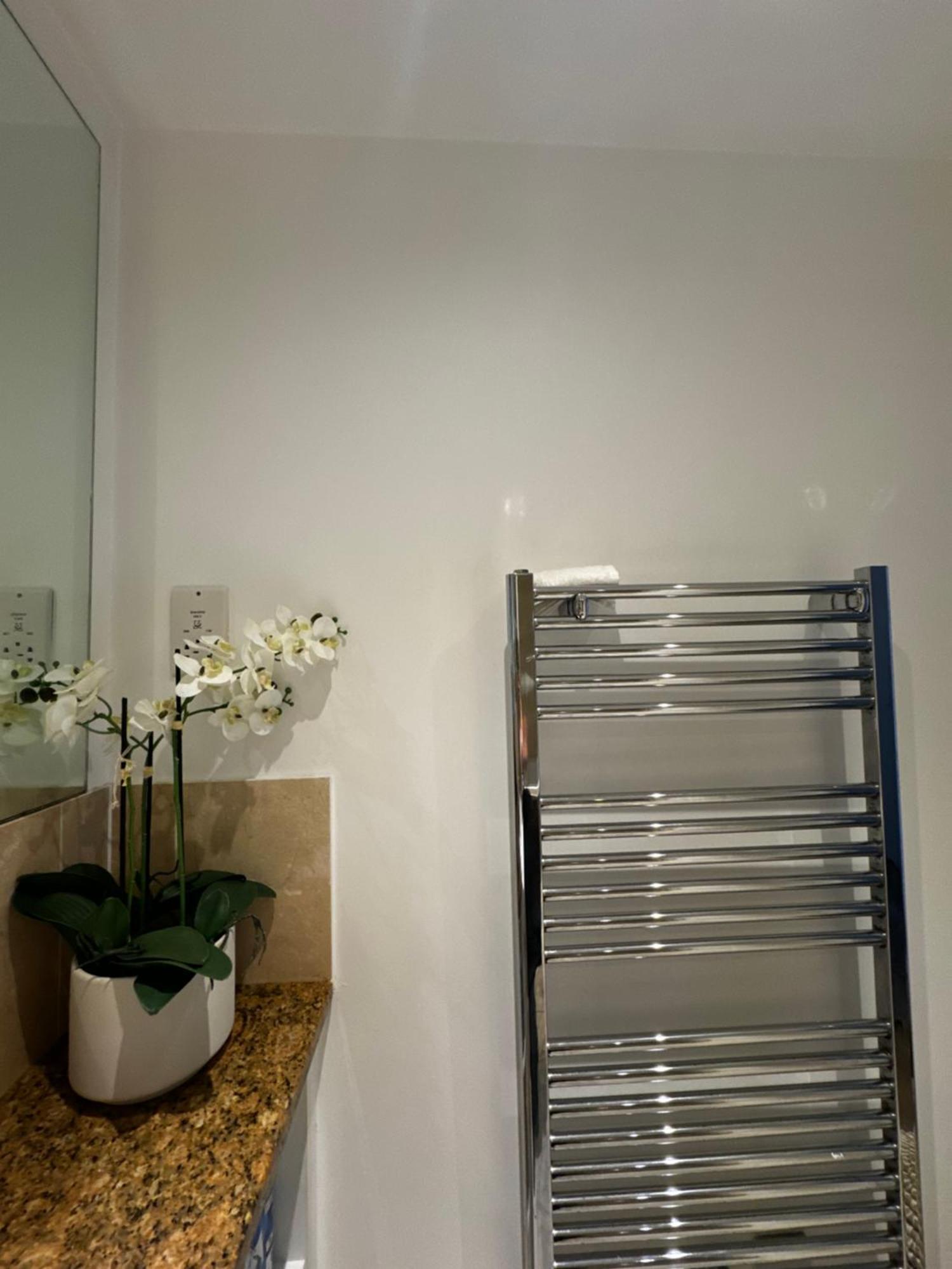 Luxury Entire 1 Bed Flat, Excel, Airport, Custom House *